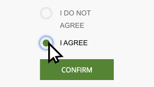 Mouse cursor that selects the item ‘I agree’ previously not selected, and active Confirm button.
